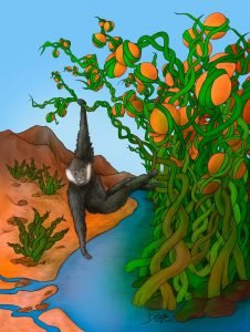 Read more about the article An Epigenetic Jungle