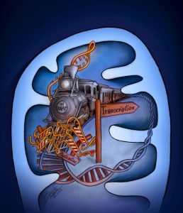 Read more about the article Mito-Train