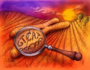 Read more about the article Finding a Mutation in a Haystack