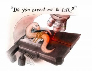 Read more about the article Worm Secrets