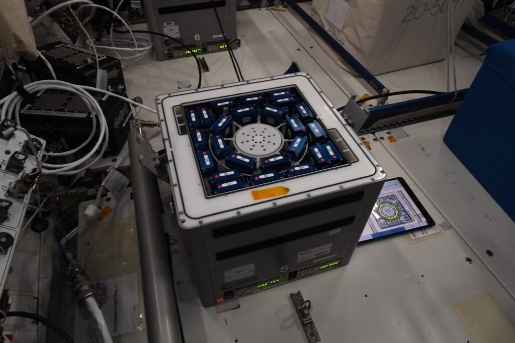 51234654237_83b015dd63_o