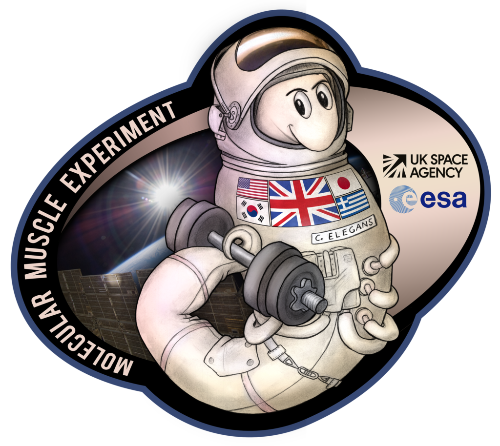 MME logo_transparent_no credit_small